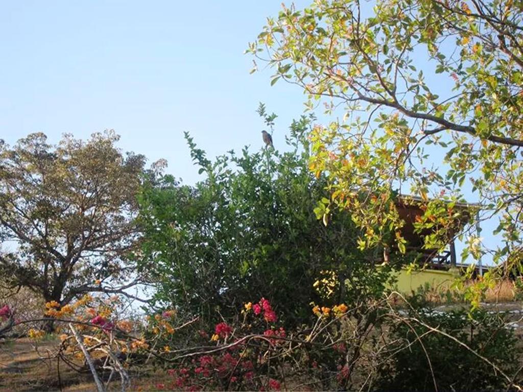 Pacific Bay Resort Boca Chica Exterior photo